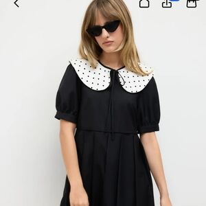 Cider Black Dress with Polka Dot Collar
